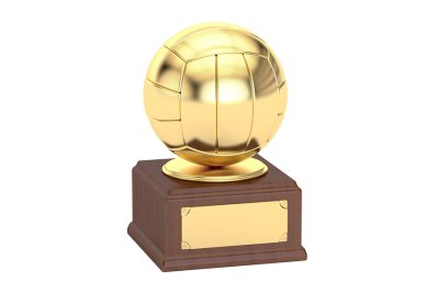 volleyball - award